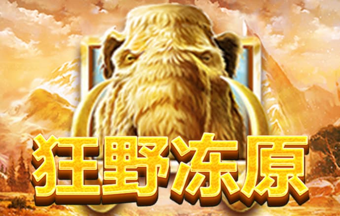 半岛综合官网